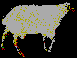SHEEP